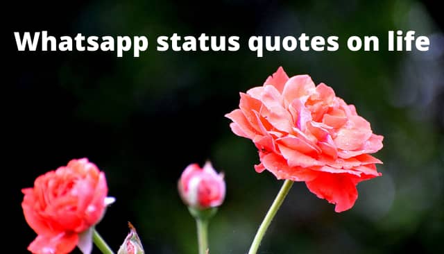 Whatsapp status quotes on life