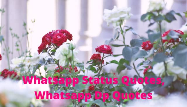 Whatsapp Status Quotes, Whatsapp Dp Quotes