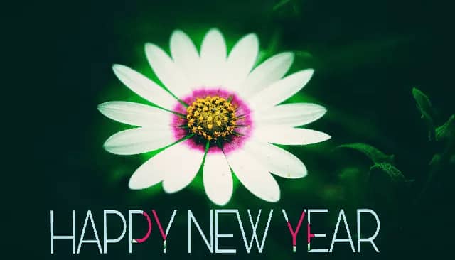 Happy New Year 2022 Wishes Photo