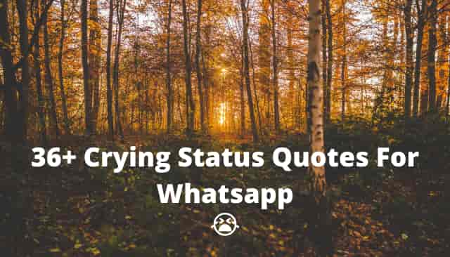36+ Crying Status Quotes For Whatsapp