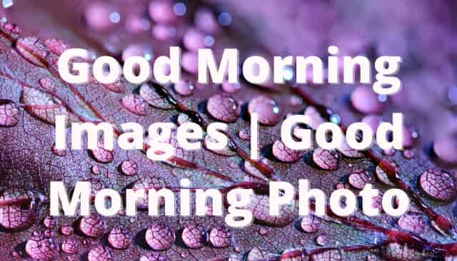 Good Morning Images | Good Morning Photo