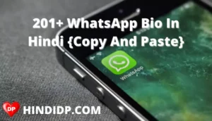 201+ WhatsApp Bio In Hindi {Copy And Paste}