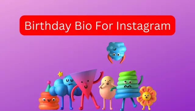 155+ Birthday Bio For Instagram | Best Instagram Birthday Bio